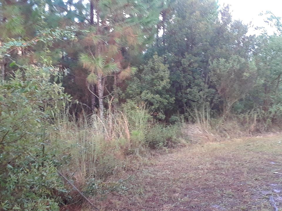 2nd image of 323 Lac Bleu Ave