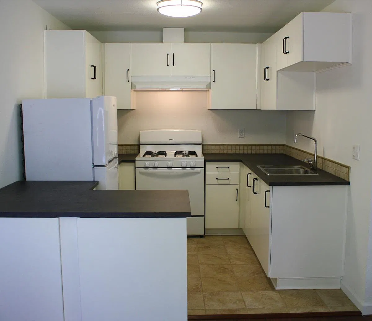 Studio, 420 sqft, $1,350 — Photo 4