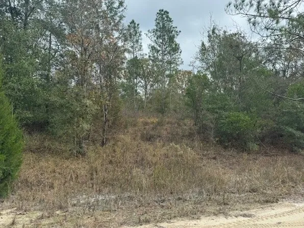 107 Drive, O'Brien, FL 32071