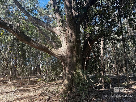 3rd image of LOT 2 Rockaway Creek Rd