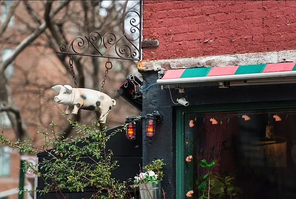 Rented by Compass | media 11