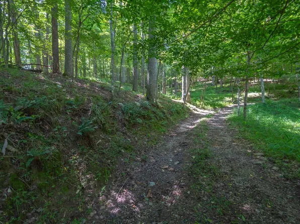Daves Rd, Morganton, GA 30560