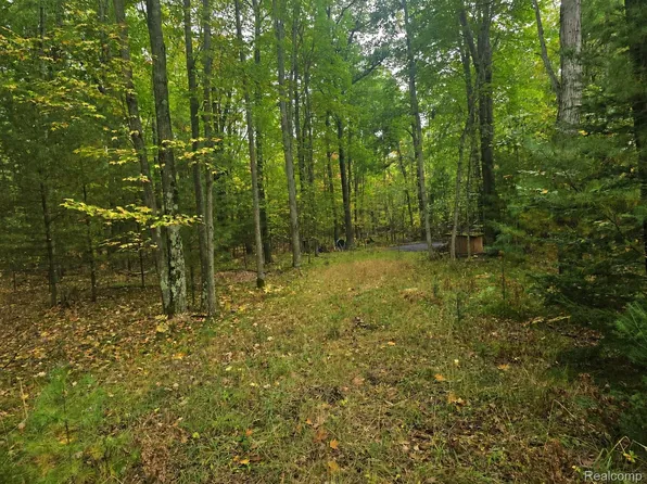 Lucinda Dr, Prescott, MI 48756