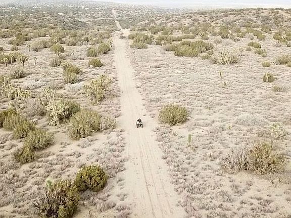 A.T.V. Trails all over