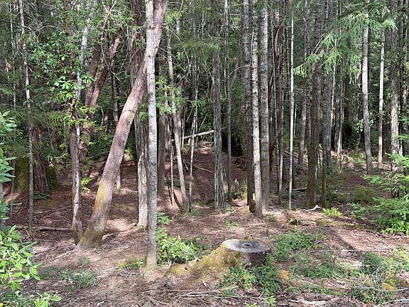 3rd image of 24908 - 24912 Clover Road