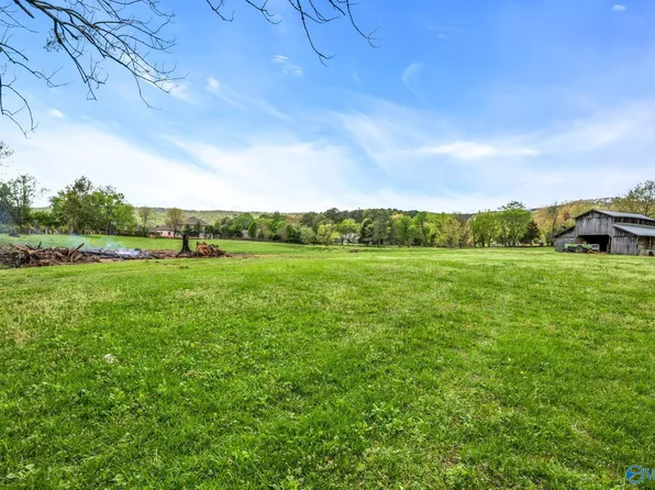 7.71 Old Big Cove Rd, Owens Cross Roads, AL 35763
