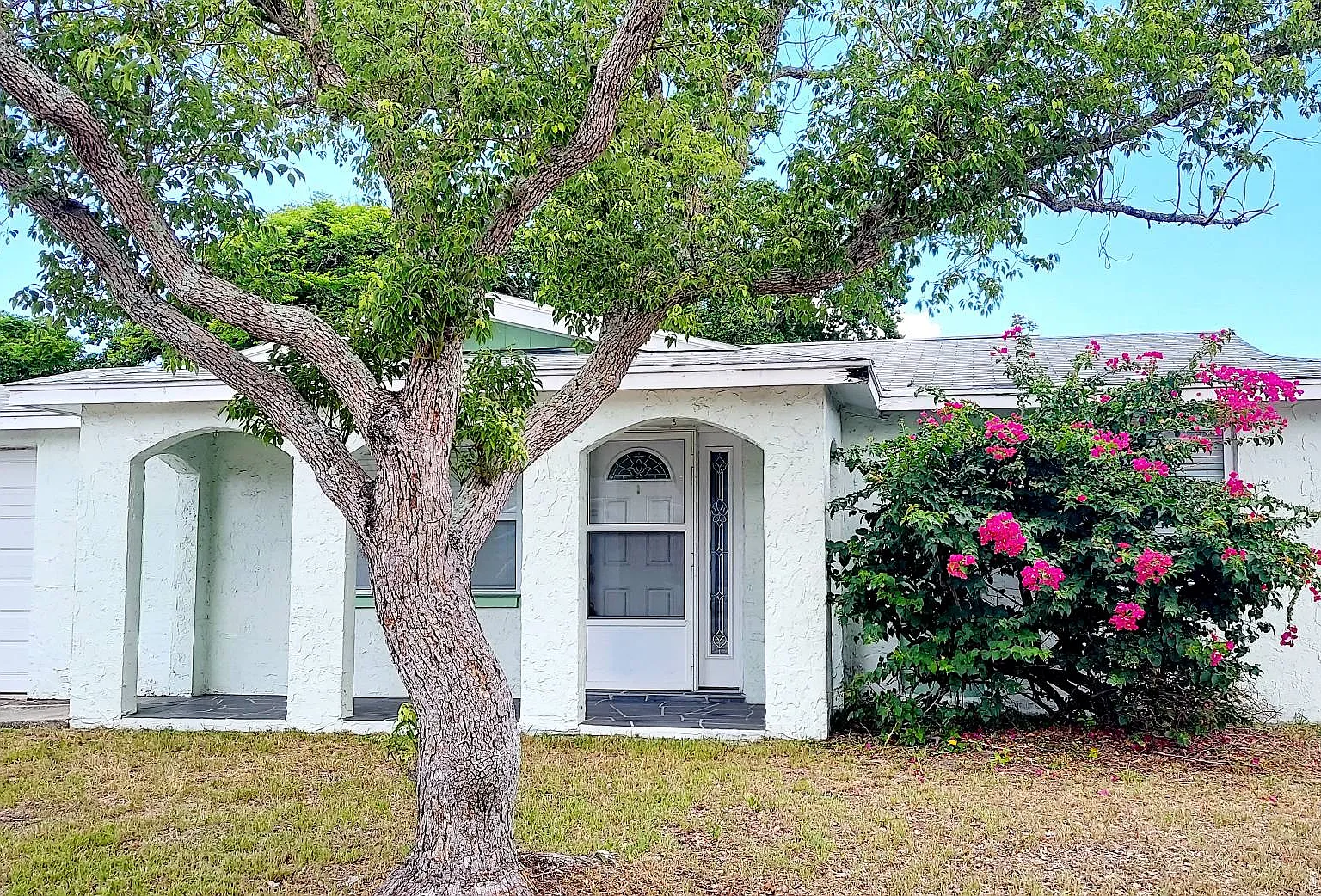 9031 Chantilly Lane - 1 — Photo 1