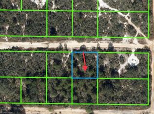 2919 W Beufort Rd, Avon Park, FL 33825