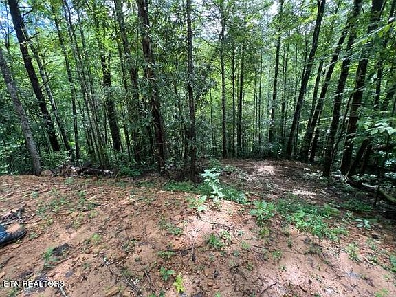 Old 15th Rd #2, Del Rio, TN 37727 | MLS #1238198 | Zillow