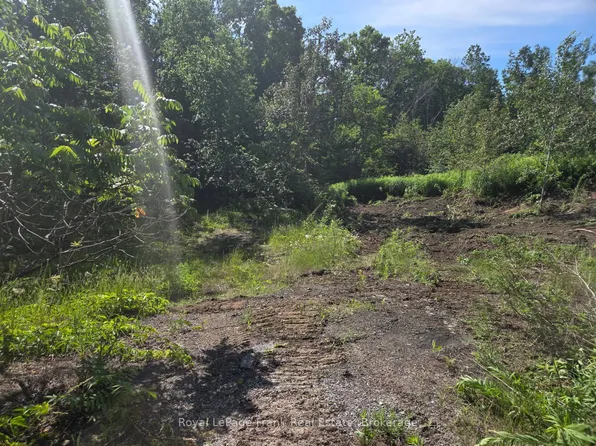 0 Northern Ave, Trent Lakes, ON K0M 1A0