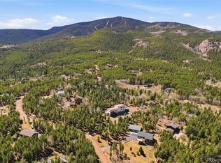 9225 Sandy Ln, Conifer, CO 80433