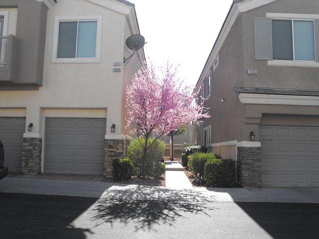 1st image of 1559 Buffalo Brubaker Ln