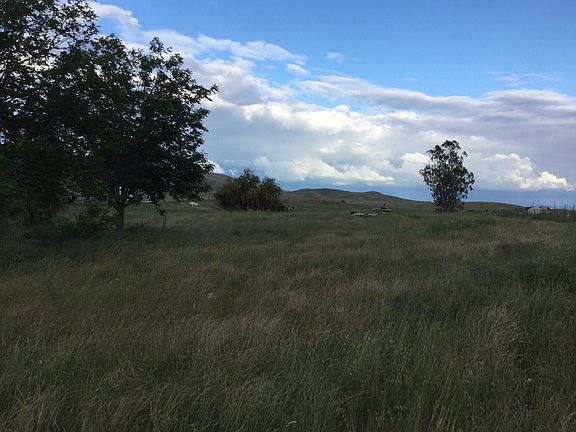 3rd image of Appaloosa Acres