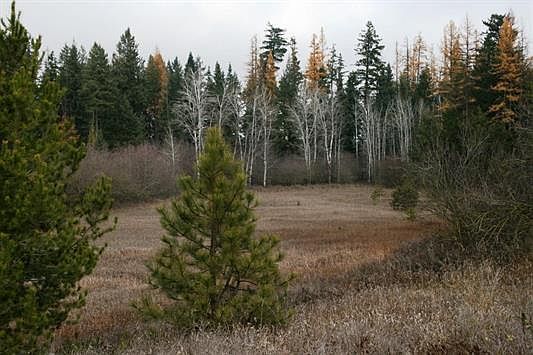 1st image of LOT 6 W Mule Deer Ln