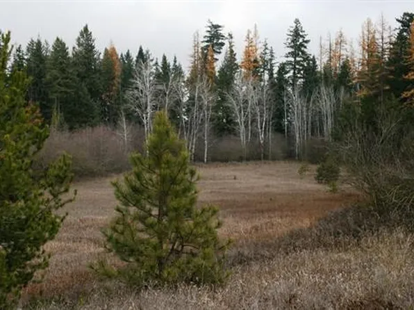 LOT 6 W Mule Deer Ln, Deer Park, WA 99006
