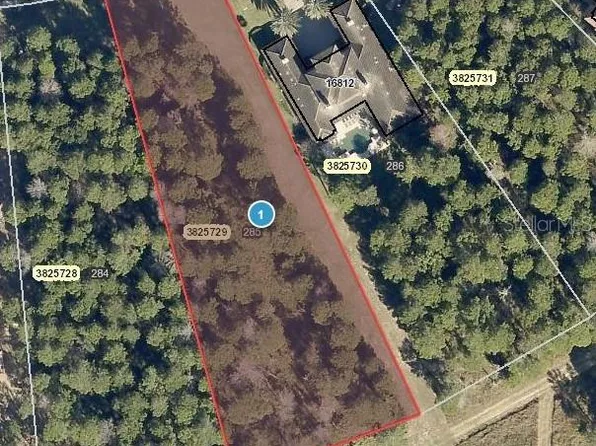 16808 Vinci Way #285, Montverde, FL 34756