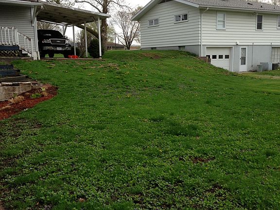 view from backyard towards house