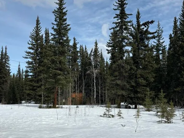 1318.5 N Alaska Hwy, Tok, AK 99780
