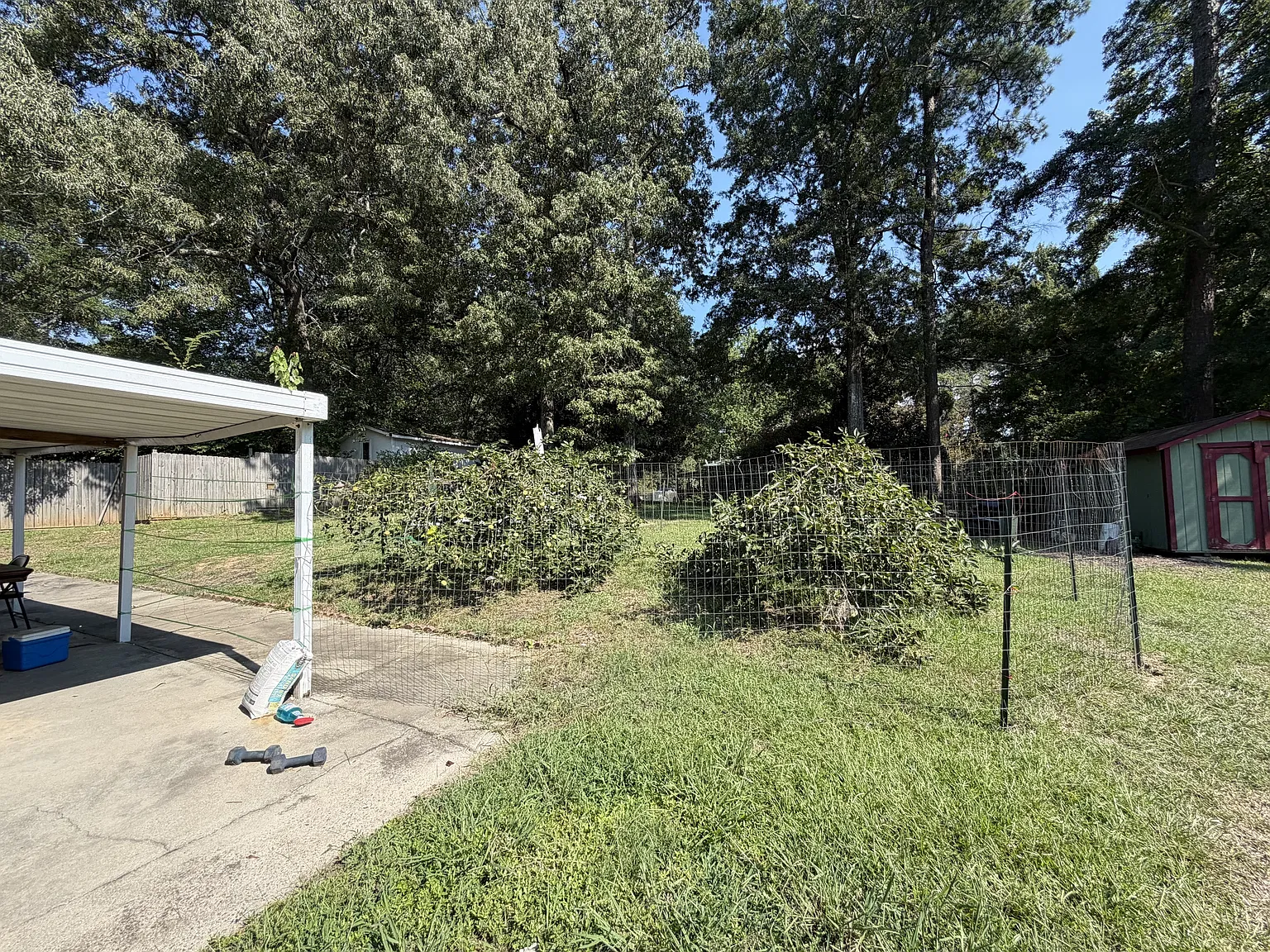 604 Willow Street - 1 — Photo 2