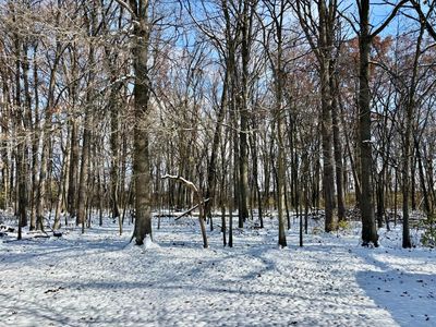 1686 Jupiter Ave, Hilliard, OH, 43026