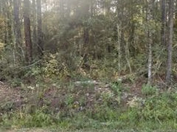 Hook St, Abita Springs, LA 70420