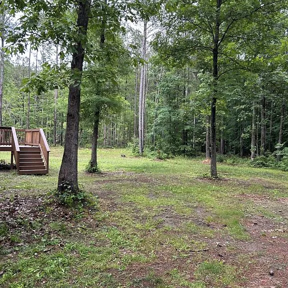 165 Gum Pond Rd — Photo 4