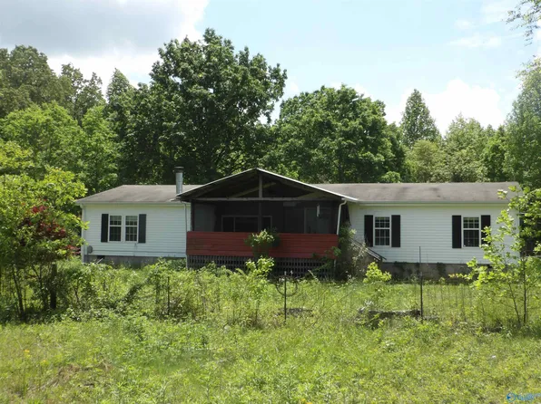 167 County Road 695, Flat Rock, AL 35966