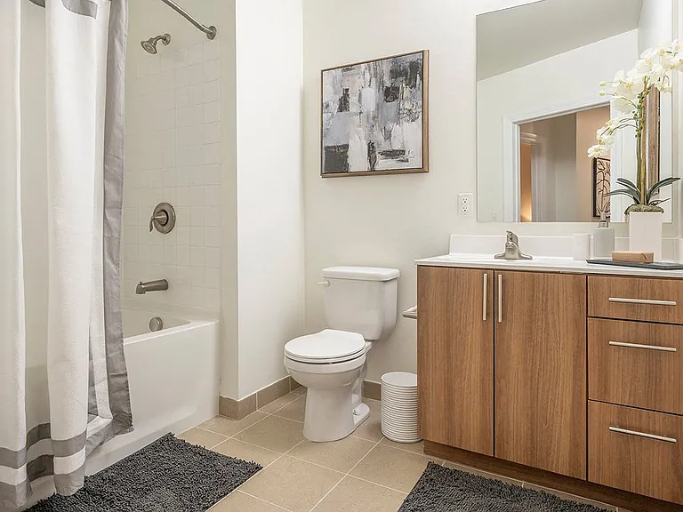 Luxurious Bathrooms with Large Showers