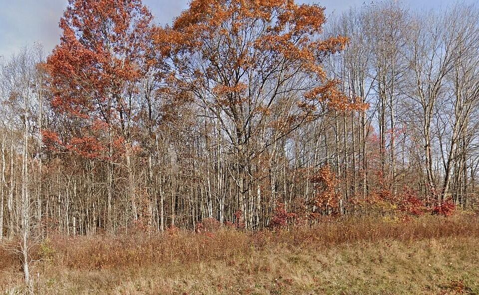 2nd image of Morris Branch Rd