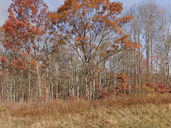 Morris Branch Rd, Meadow Bridge, WV 25976