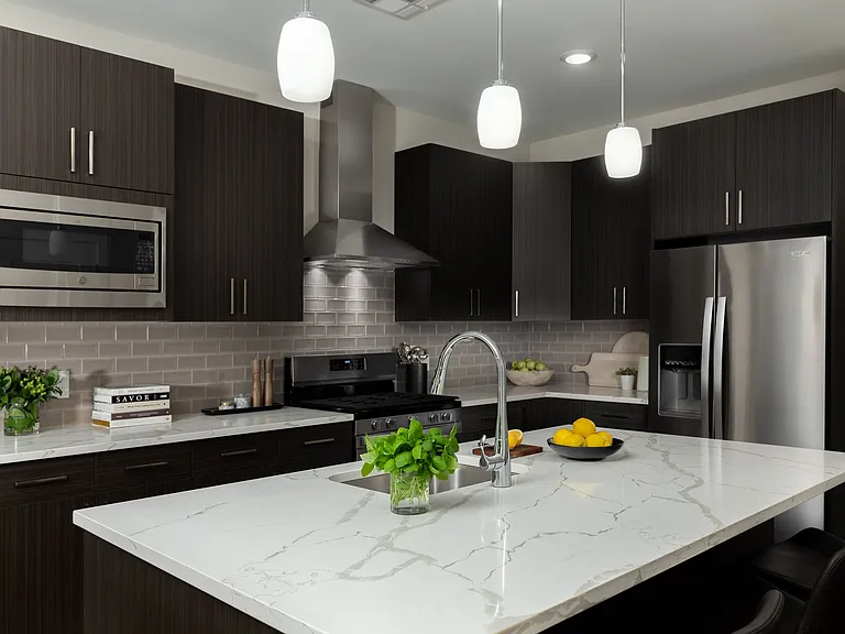 Experience culinary excellence in this sleek modern kitchen.