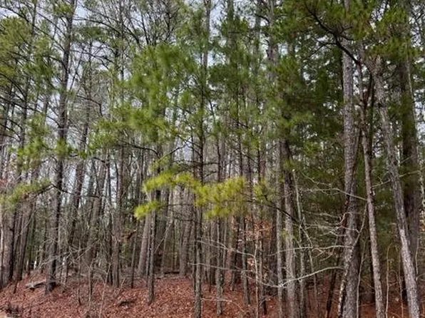 0 Almond Ct, Bracey, VA 23919