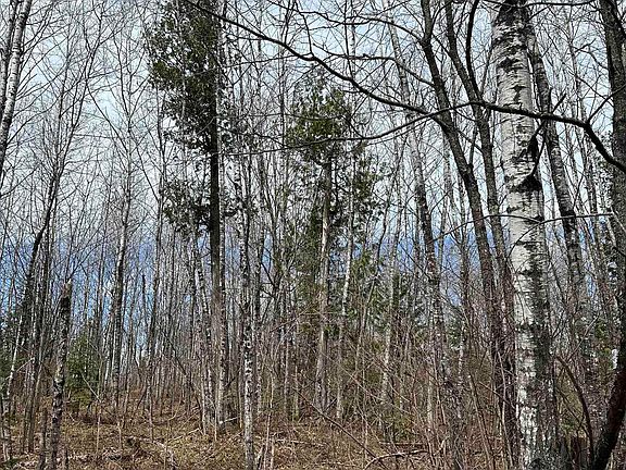 2nd image of Tbd Net River Rd