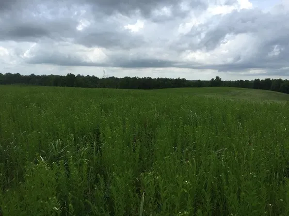 821 Kidwell Rd, Ewing, KY 41039