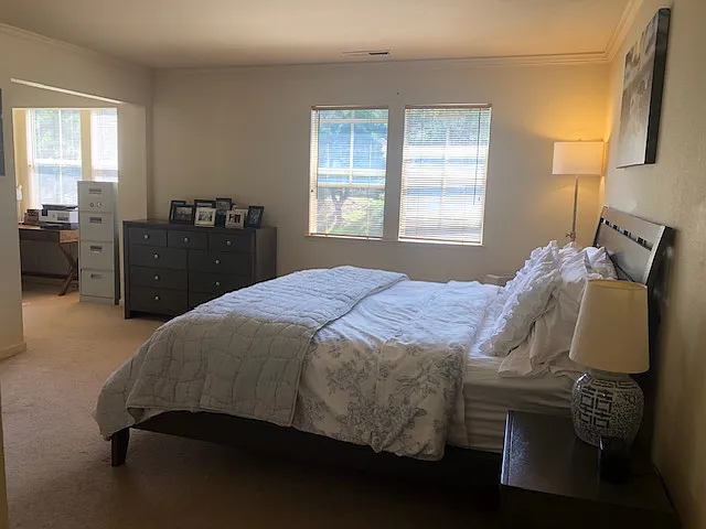 106 Glen Lake Dr — Photo 22