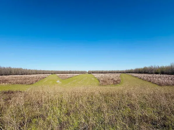 Priddy Rd, Rolling Fork, MS 39159