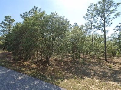 6004 N Darlington Dr, Citrus Springs, FL, 34434