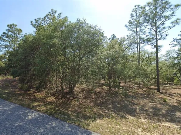 6004 N Darlington Dr, Citrus Springs, FL 34434