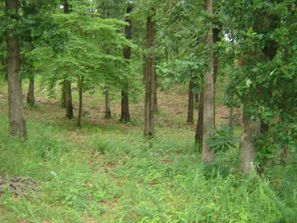 1st image of Woodland Hls