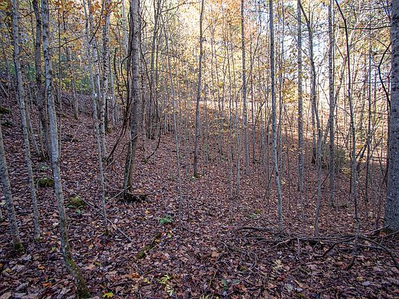 2nd image of LOT 66 Choctaw Ridge Trl
