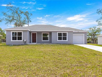 46 Guava Pass Ter, Ocklawaha, FL, 32179