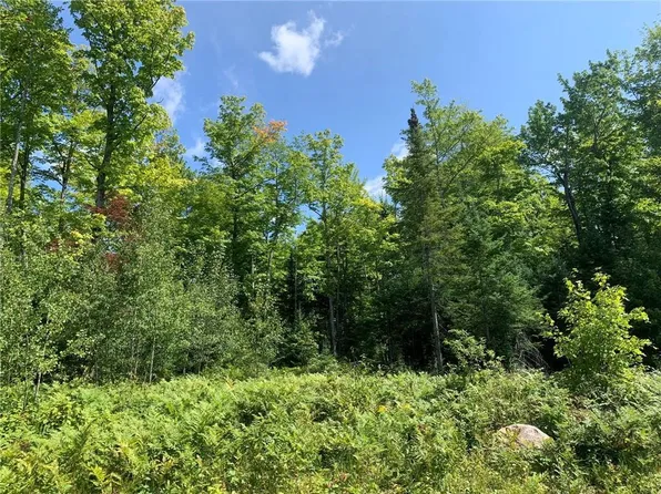 36+/- Acres On Dynamite Road, Fifield, WI 54524
