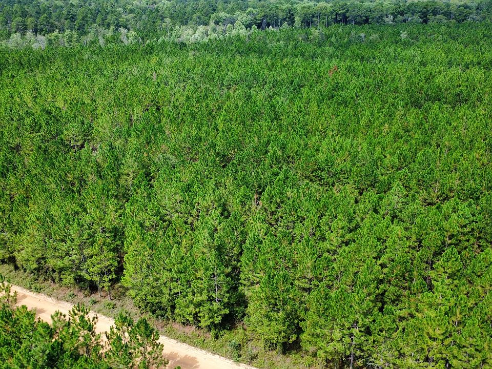 1st image of TRACT 6 Sunflower Rd
