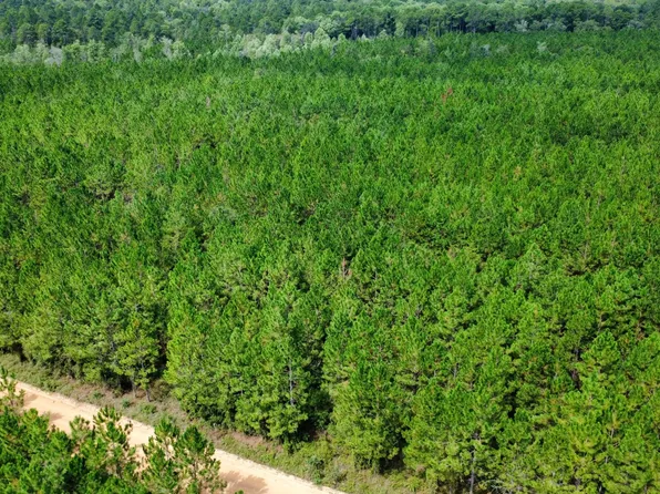 TRACT 6 Sunflower Rd, Fitzgerald, GA 31750