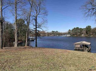 20227 Spillway Rd, Winona, TX 75792