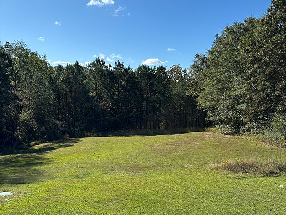 Backyard view - Free mowing!
