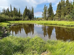 111 Lake Rd, Idaho Springs, CO 80452