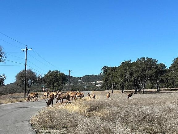 3rd image of LOT 58 Red Stag Lane LOT 58