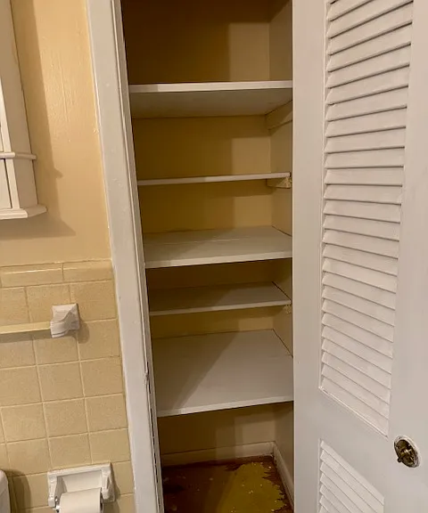 Bathroom closet