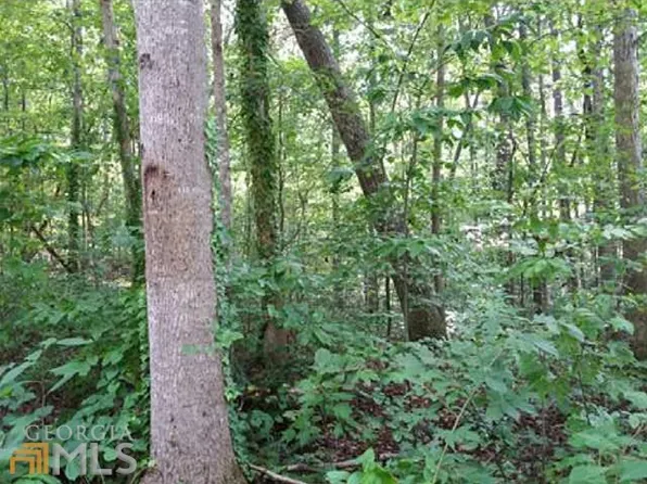 4058 Skyline Dr, Gainesville, GA 30501